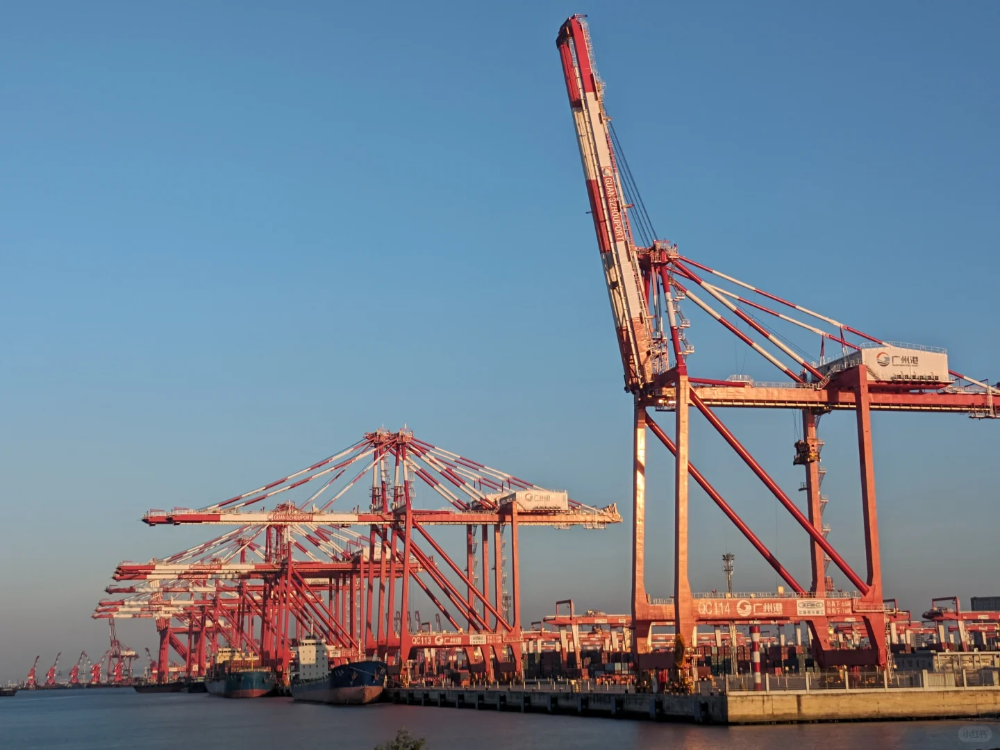 怎样明确海运中的“甩柜”？？？？？？